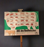 (0352) Schulrollkarte,ABC des Rindfleisches, Maggi Kochstudio