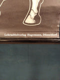 (236) Schulrollkarte, Das Pferd