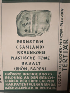 (370) Schulrollkarte, Erdzeitalter und Lebensentwicklung der Menschen 60er Jahre