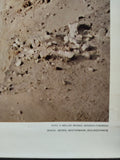 (0259) Schulrollkarte, Steilküste der Insel Sylt