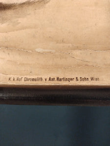 (212) Schulrollkarte Edelmarder, Hermelin und Dachs